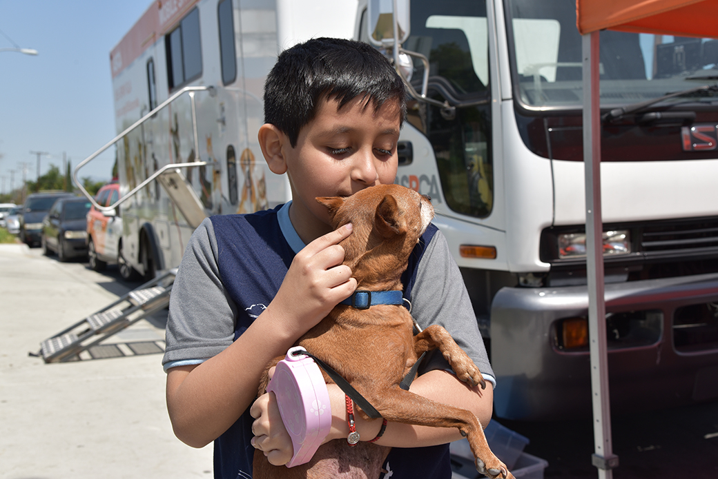 a boy with a dog