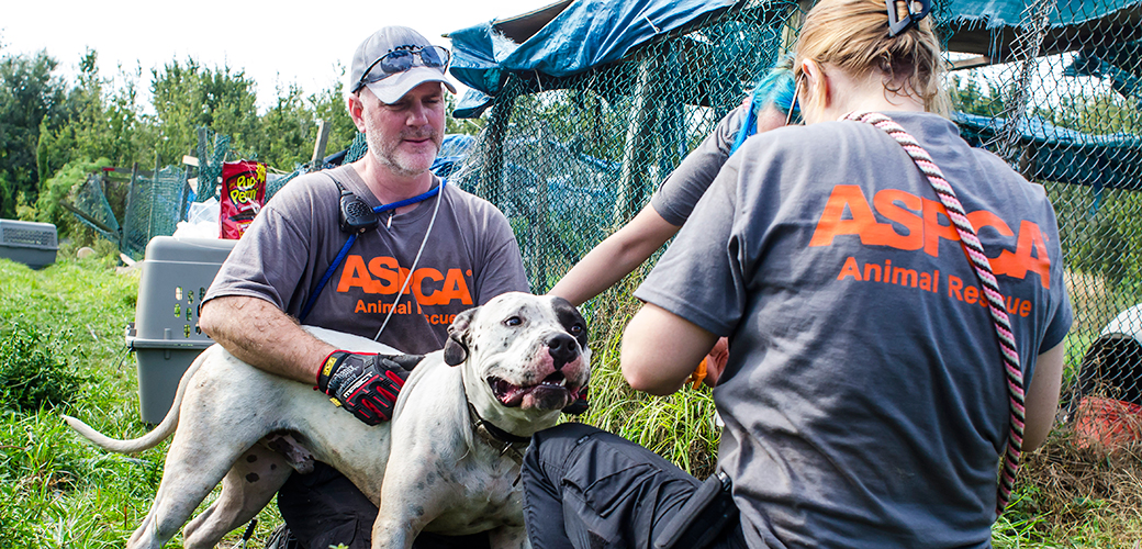 One Step Closer to Adoption: ASPCA Transport Vehicle Sets Out to Deliver Dogs to Animal Welfare Organizations in 15 States