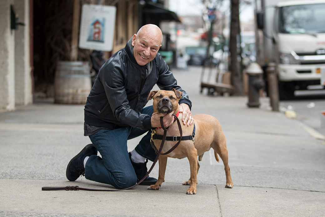 Orson and Patrick Stewart