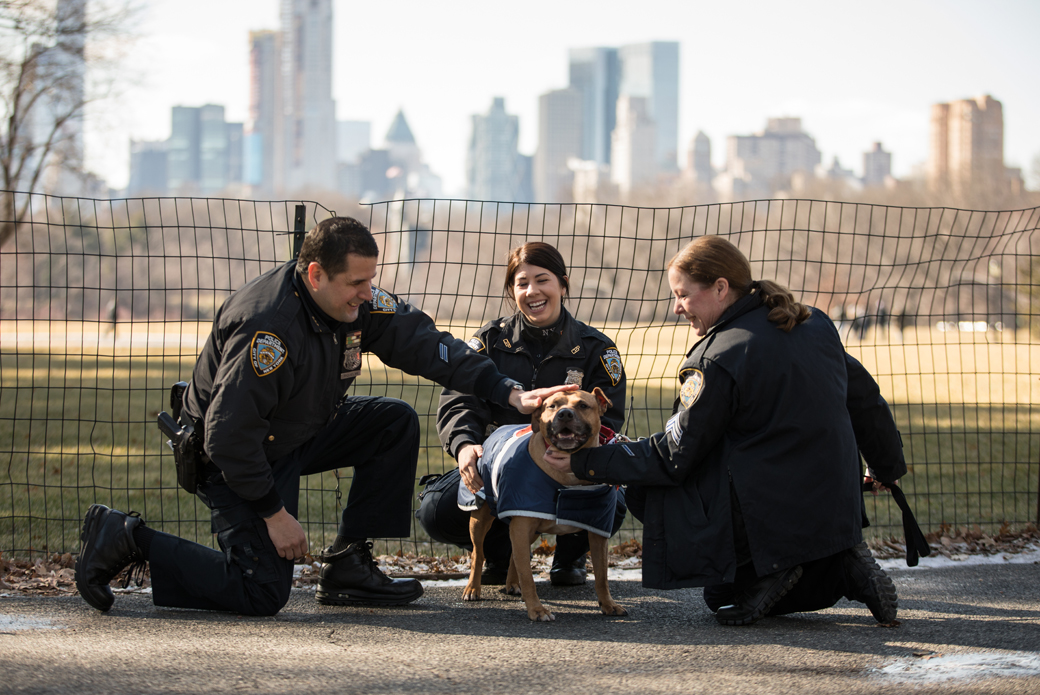 Orson with Sergeant Maria Sexton, Officer Sara Moran and Officer John Riquelme