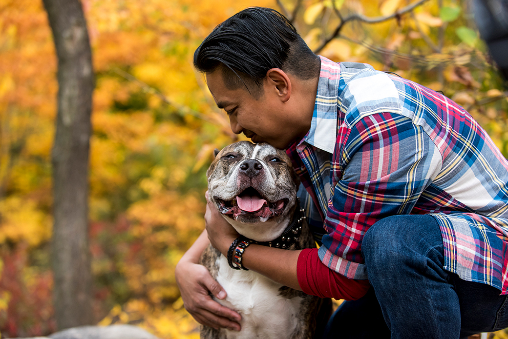 a man hugging a pitbull in the park