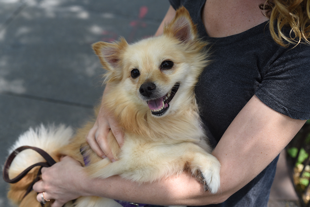 a woman holding a dog outside