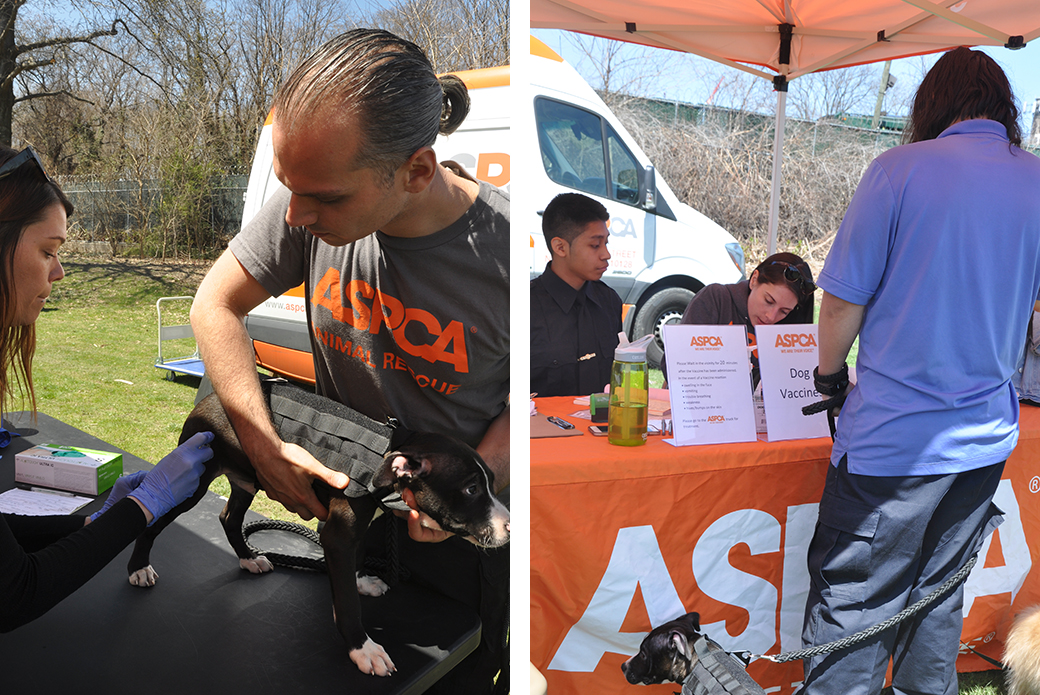 orensic Veterinary Assistant, Roni, helps Freddy and Freddy, Brownie and their pet parent Angel wait for services 