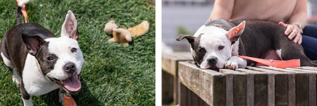 Penny after adoption