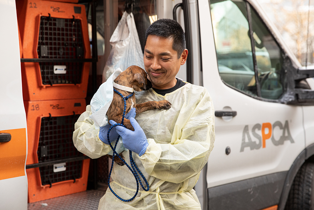 a puppy being taken out of the transport