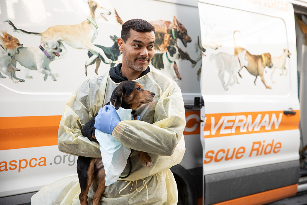 ASPCA staff carrying a puppy