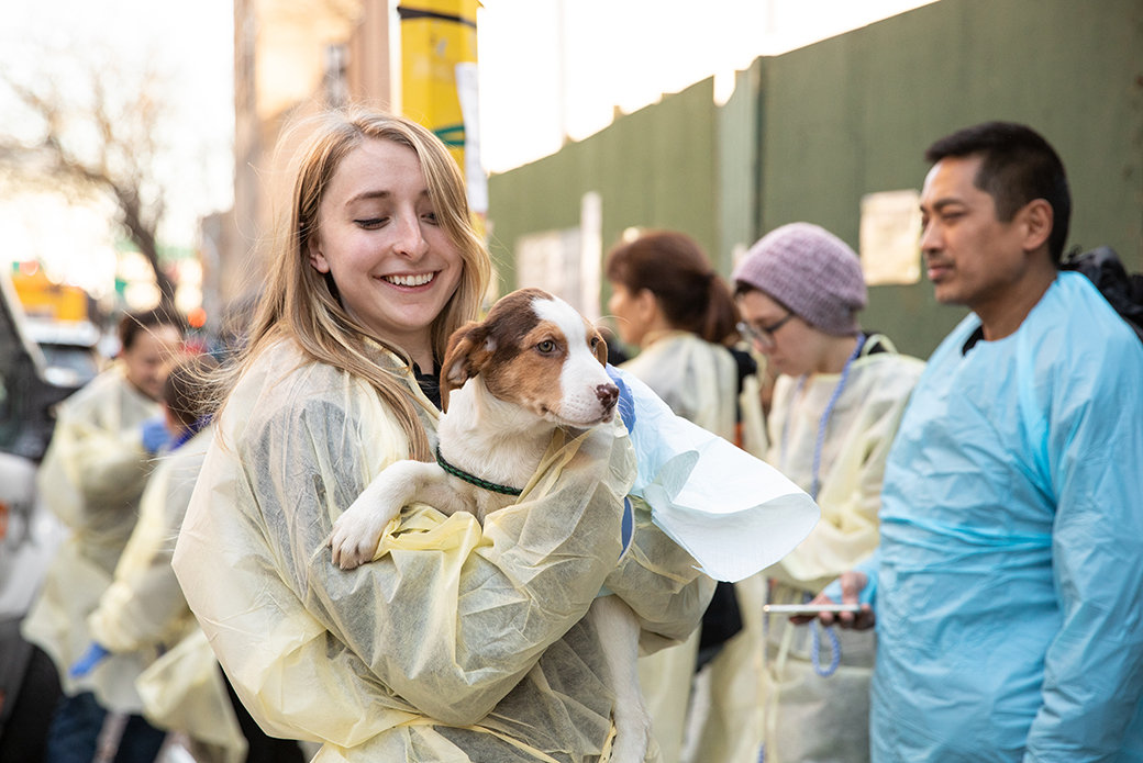 ASPCA staff carrying a puppy