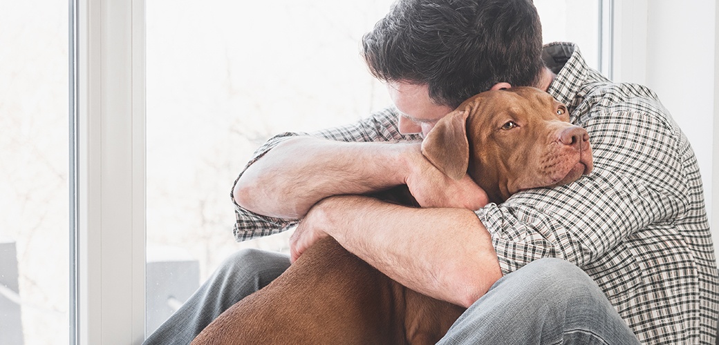 a man hugging a brown dog next to a window