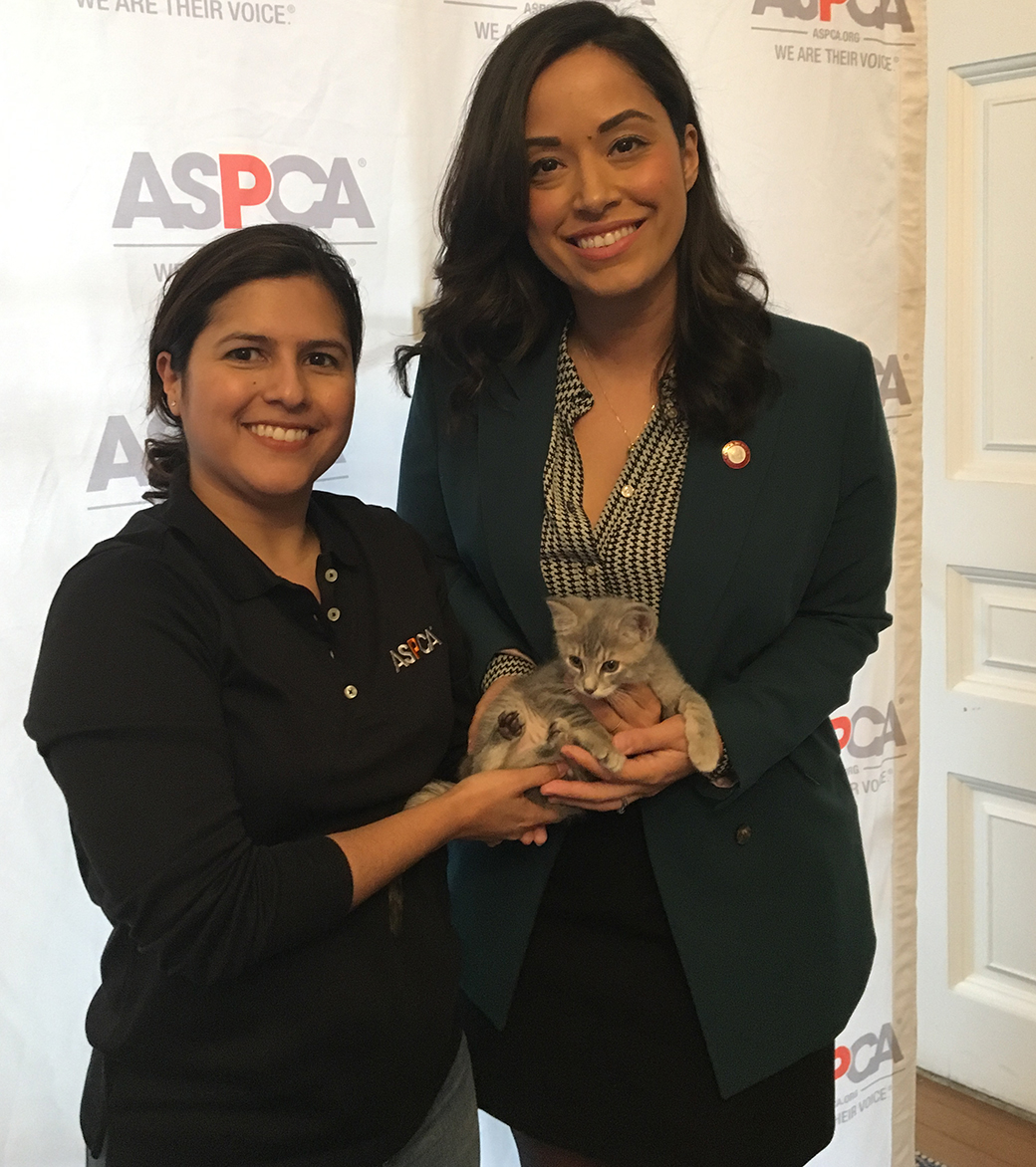 two people holding a cat