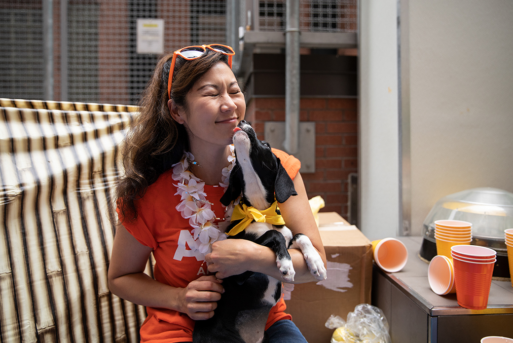 a puppy licking a woman's chin