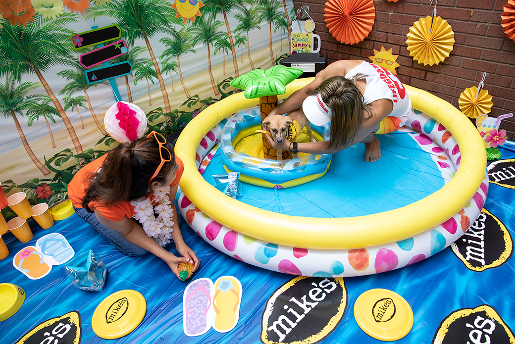 two people playing with a puppy in the pool