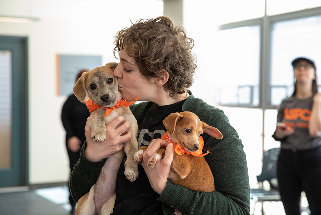 ASPCA staff holding Apple and another puppy