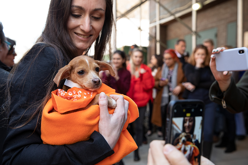 ASPCA staff holding Curry