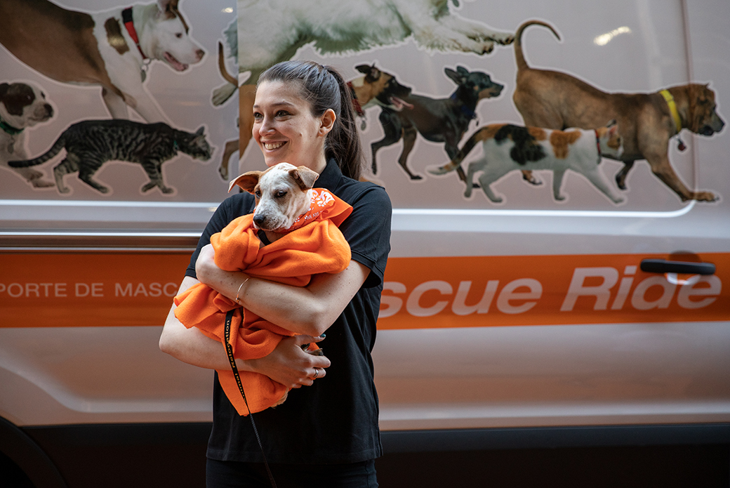 ASPCA staff carrying a puppy