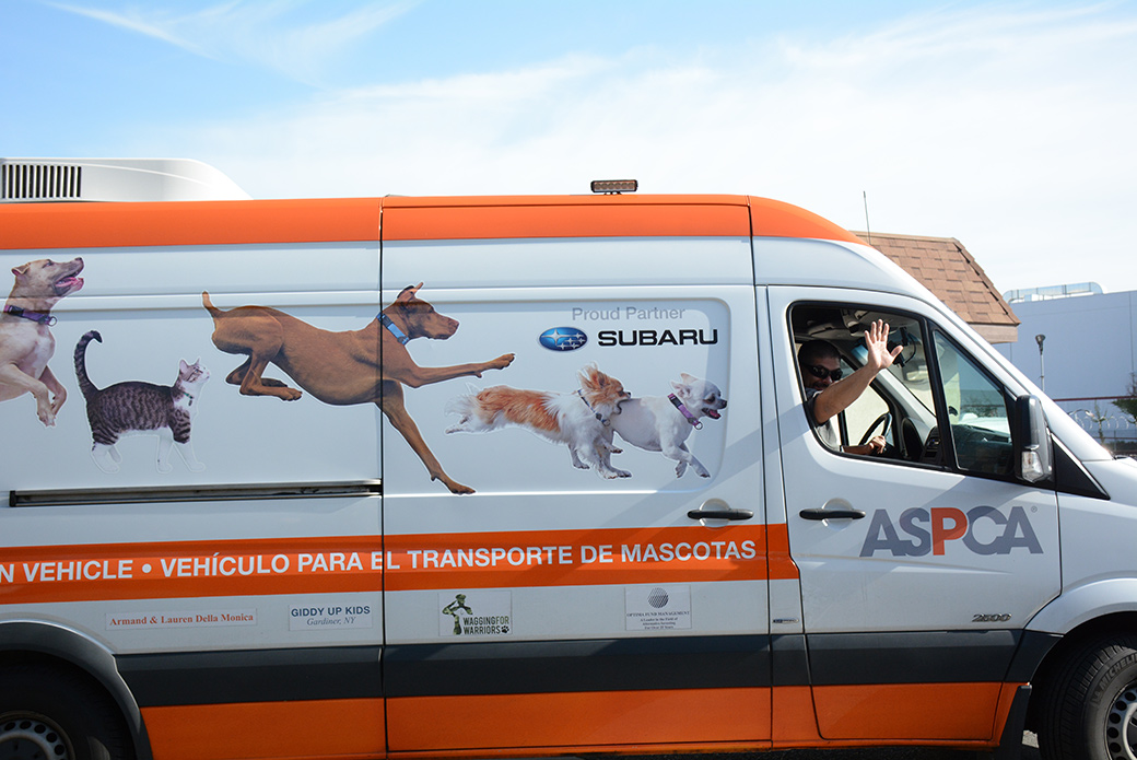 The ASPCA transport vehicle departs for Washington.
