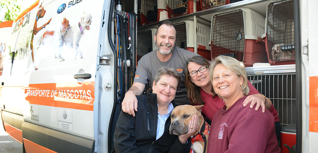 ASPCA on the West Coast: Relocation Team Transports 1,000th Animal