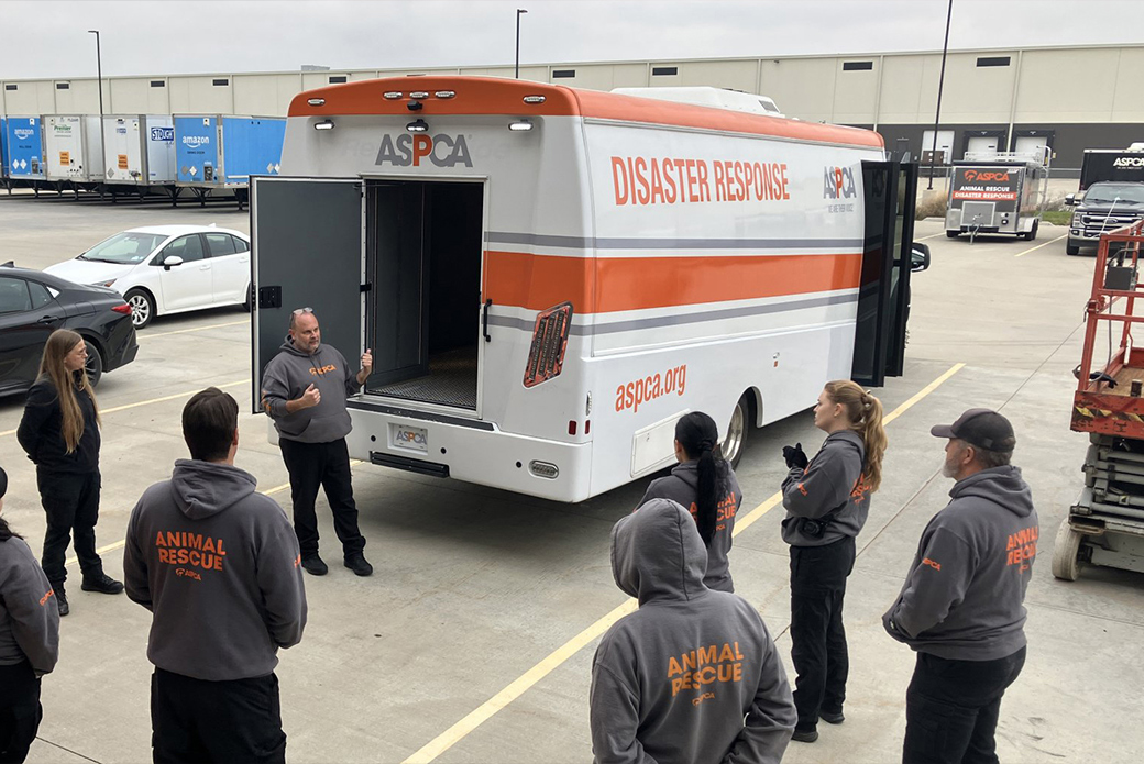 How Volunteers Help Power Animal Rescue | ASPCA
