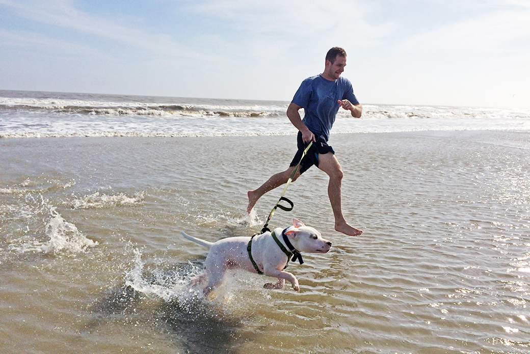 Buddy running in the ocean