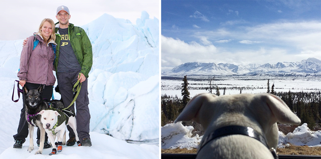 Buddy and his family at Matanuska Glacier