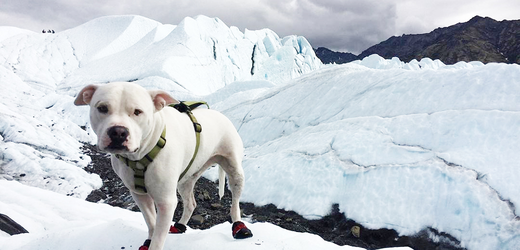 Buddy hiking