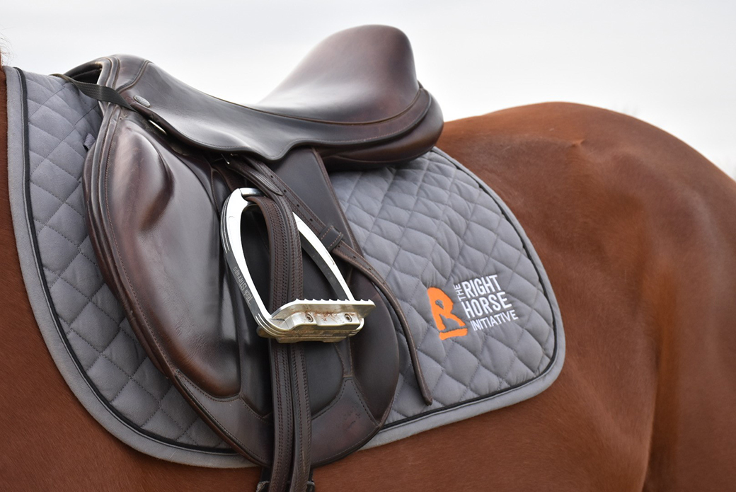 the right horse initiative saddle