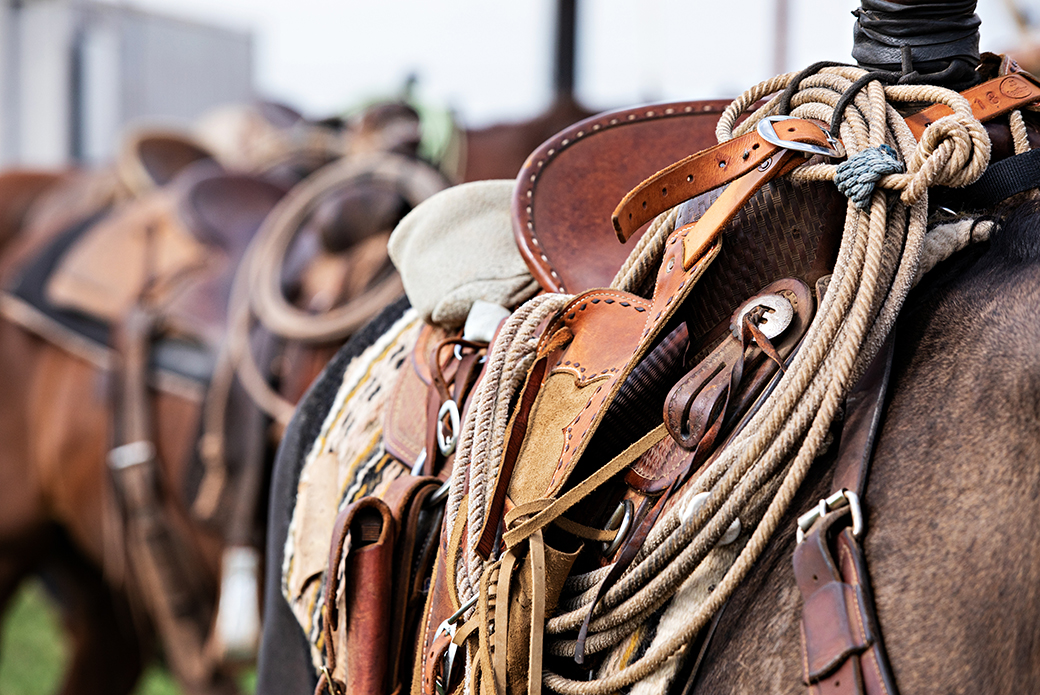 western saddles on horses