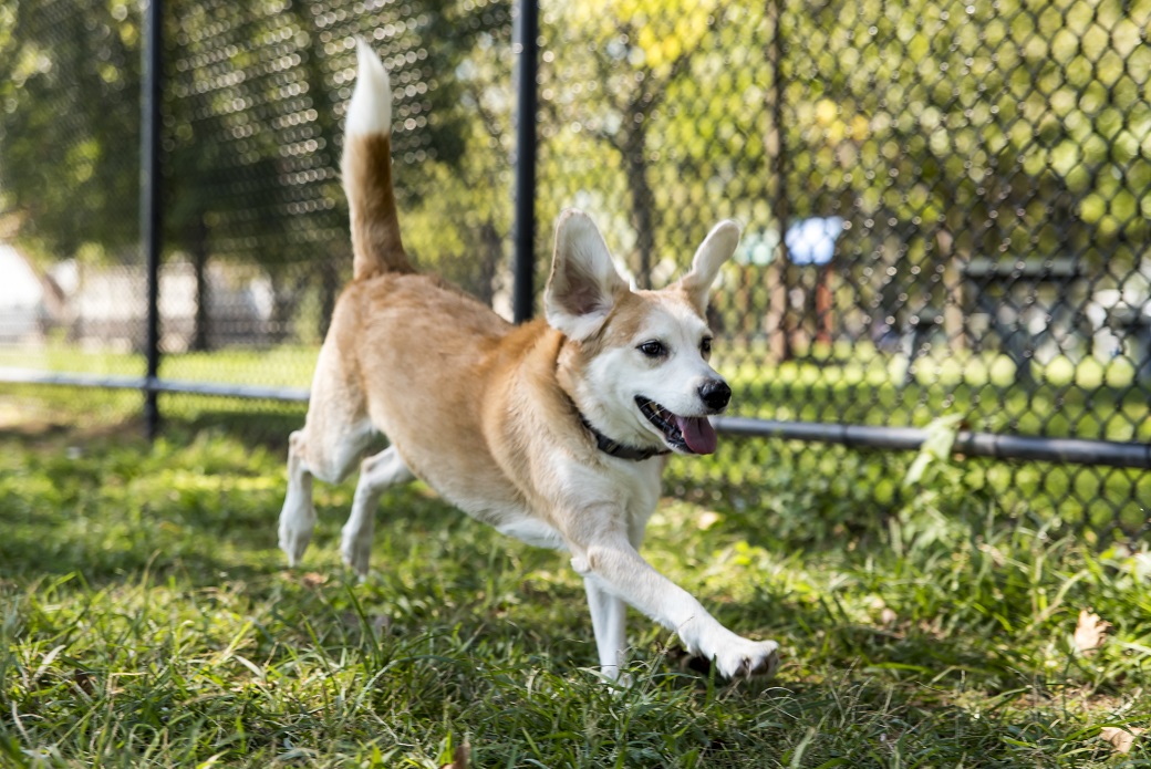 Riley running