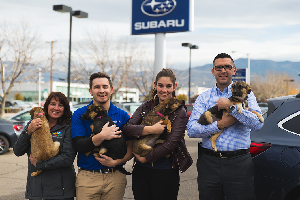 four people with dogs at a subaru dealership