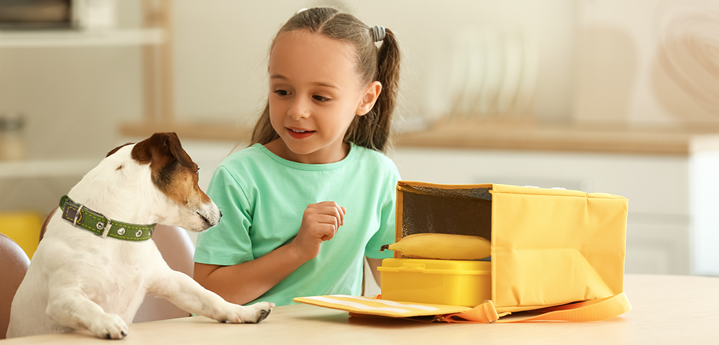 A girl sitting at a table with a white and brown dog looking at her yellow lunch box