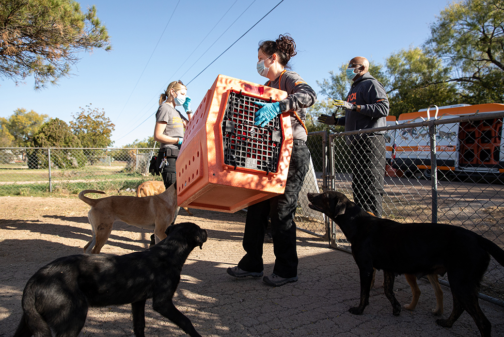 ASPCA responder carrying a dog carrier