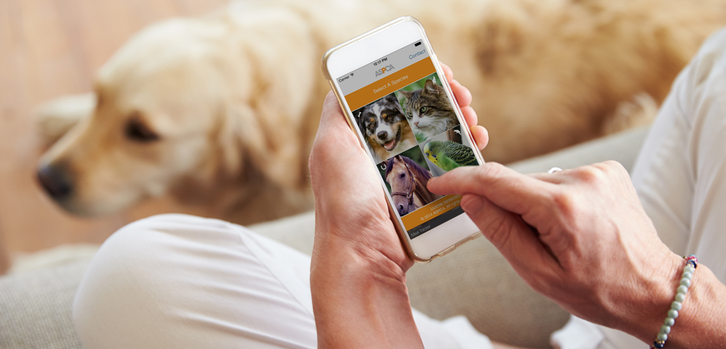 a woman on the APCC app