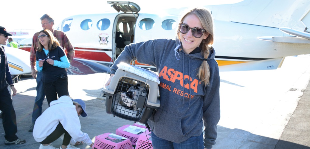 ASPCA volunteer transfers a cat in a carrier