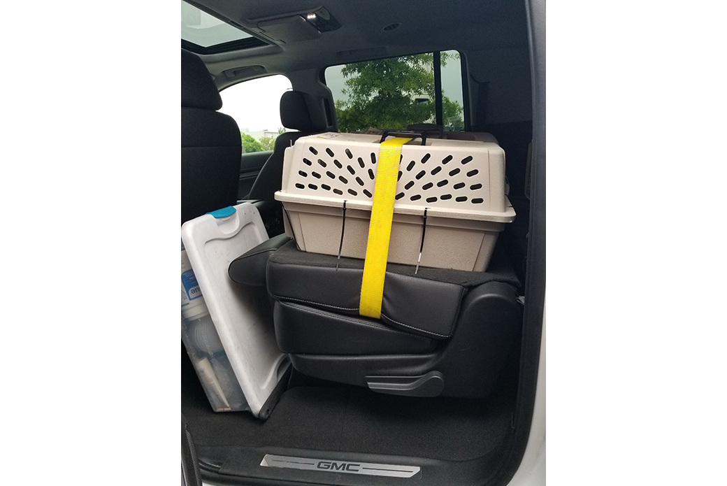 pet carrier strapped onto a car seat