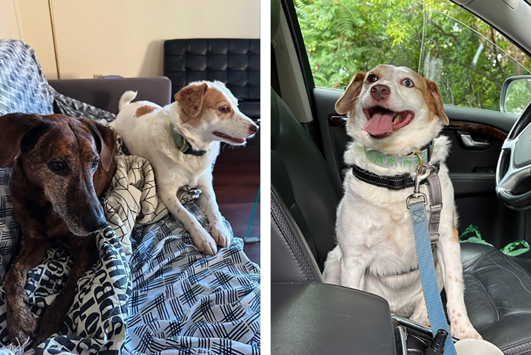 Rhea with Edie on a couch (left), Rhea in a car (right)