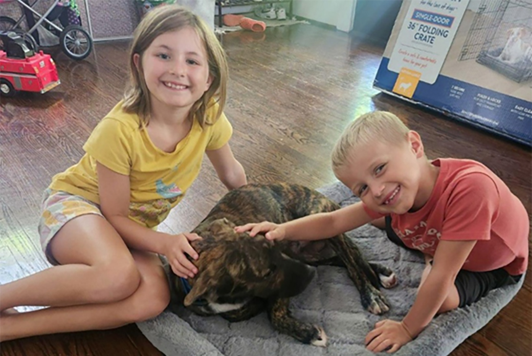 Ben with two of his new family members, Jolene and Ripken.