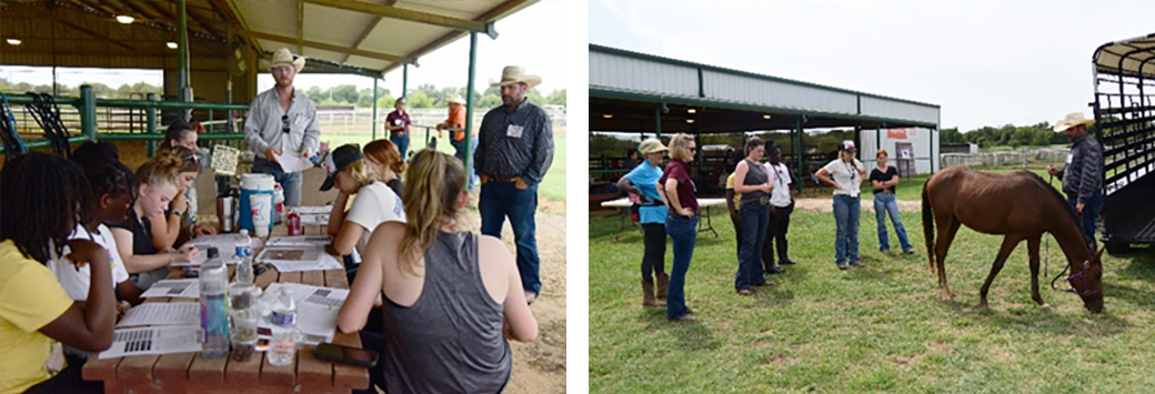 Participants and officials from Texas A&M and HSNT at the meet-and-greet event. 