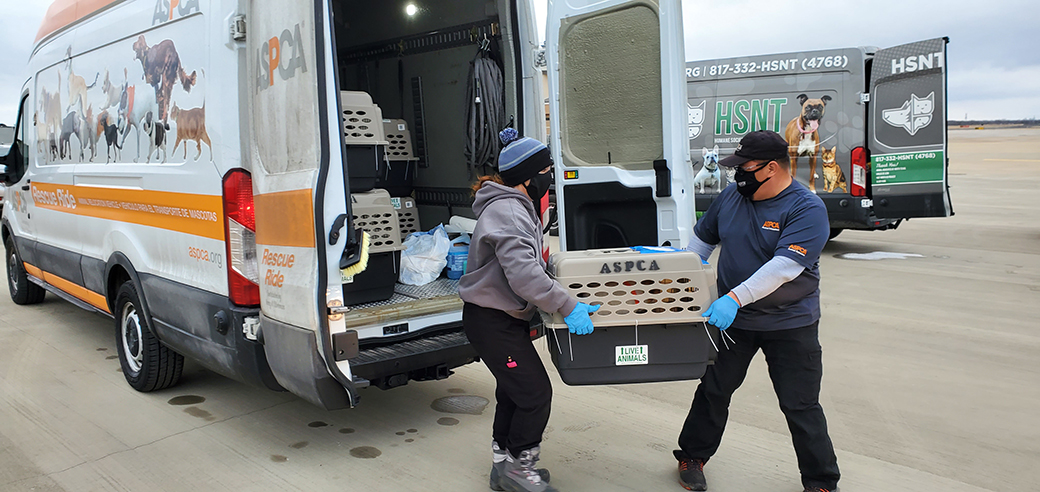 aspca responders moving rescued animals out of a transport truck