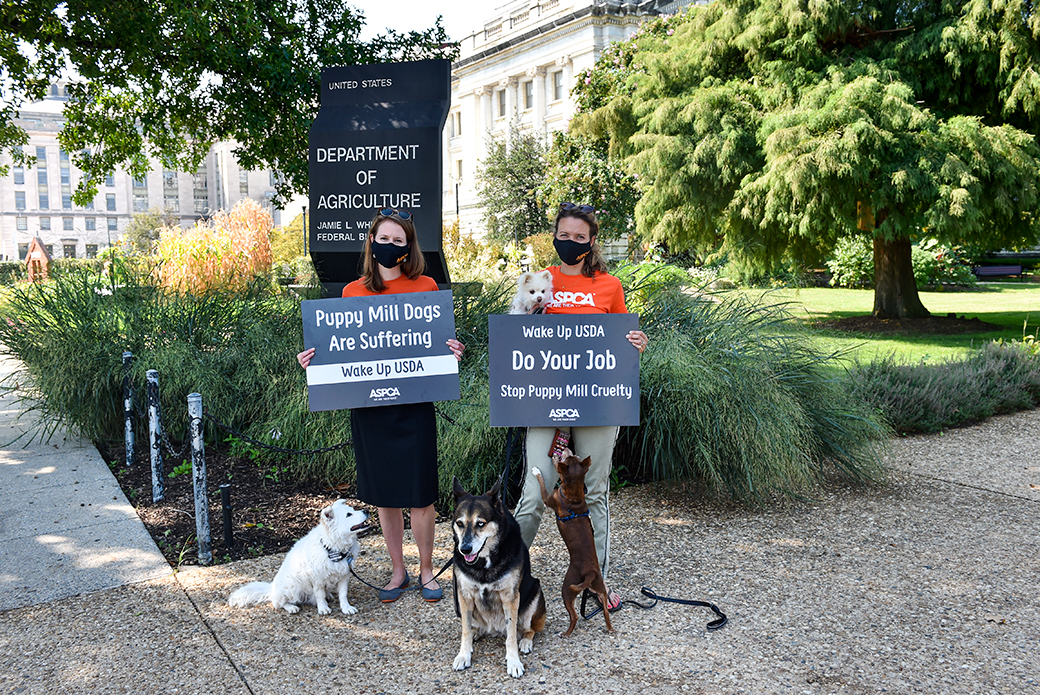 usda petition delivery