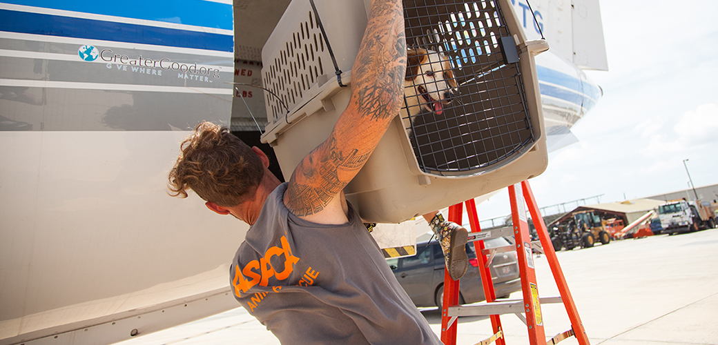 ASPCA Responder loading a rescued dog on a WOR plane