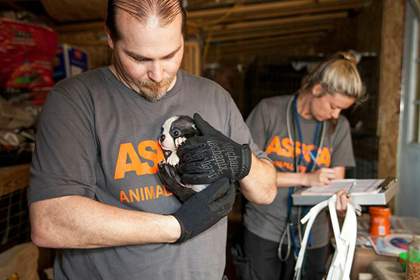 FIR Vice President Tim Rickey holding puppy mill victim