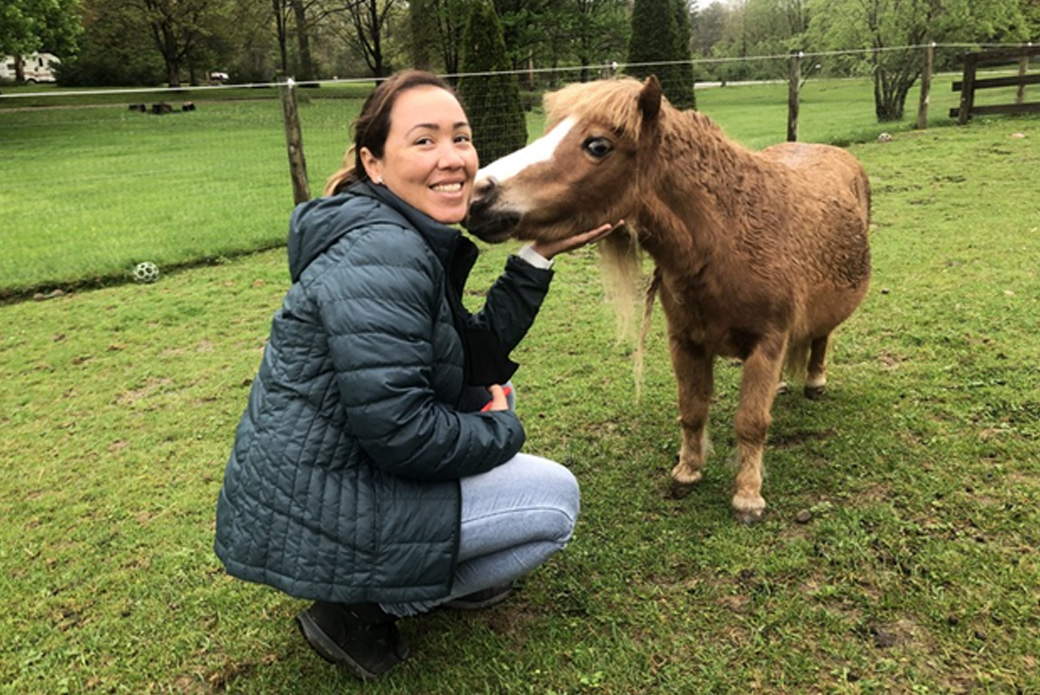 Miniature Horse