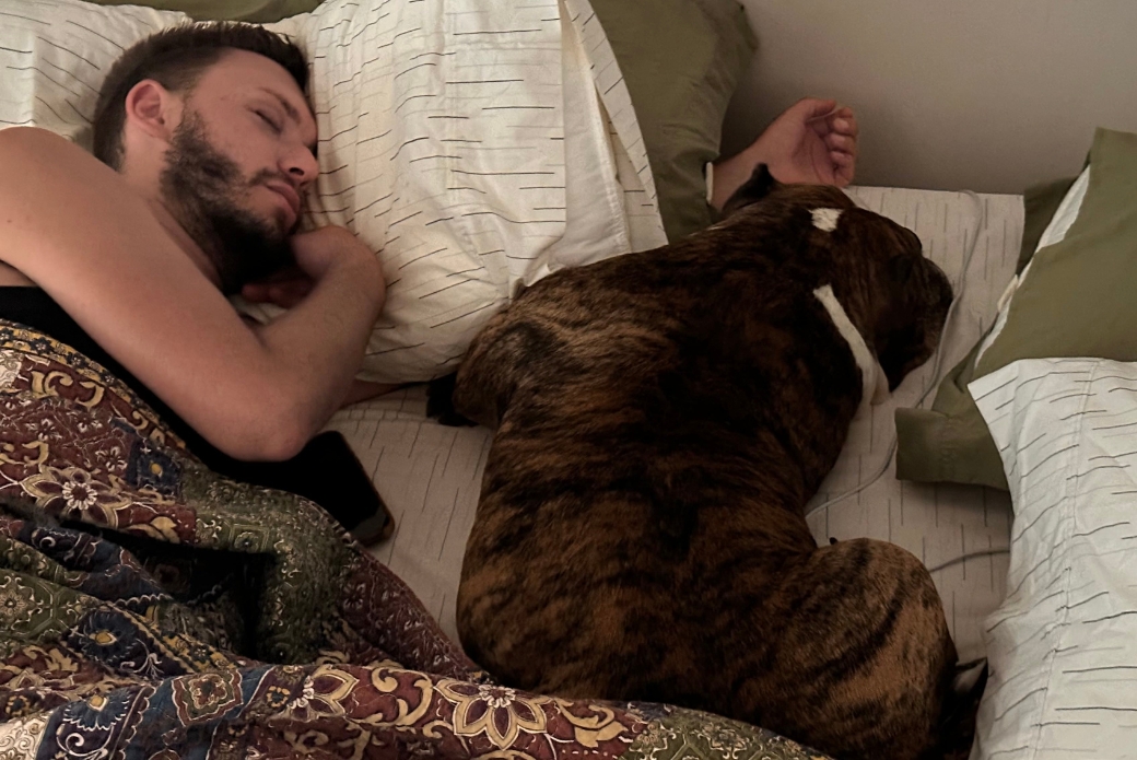 Dog sleeping in bed next to his adopter