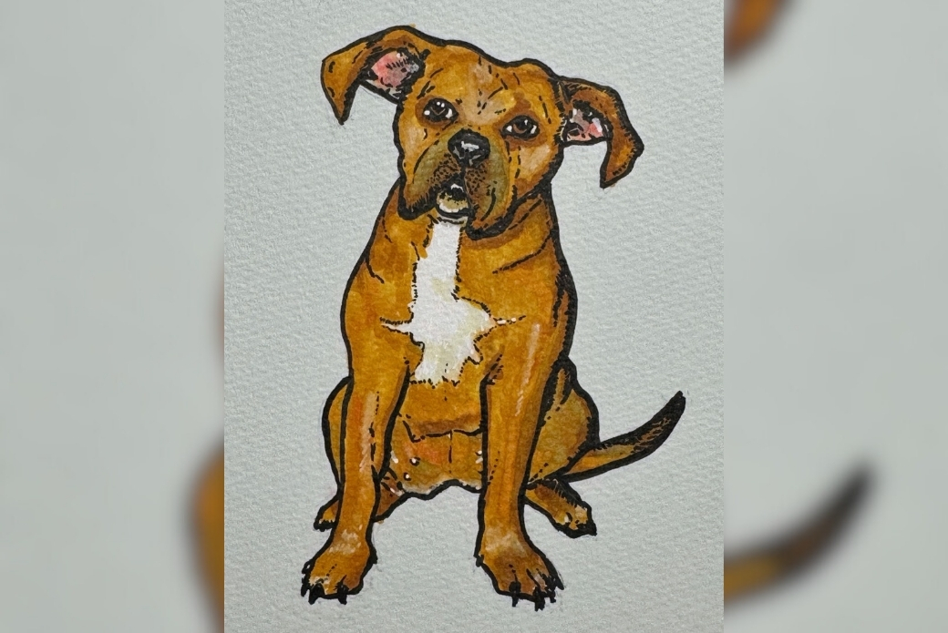 A drawing of a brown dog
