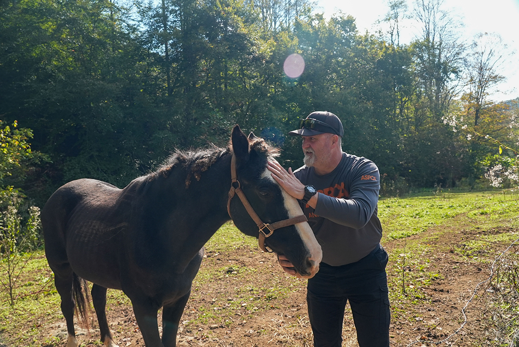 Responder with a rescued horse