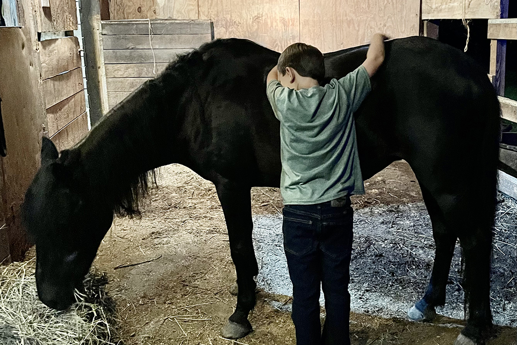 Charlie touching Annie's back while she eats hay in a stable