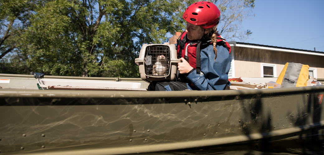 ASPCA Experts Give an Inside Look into Our Disaster Response Efforts 