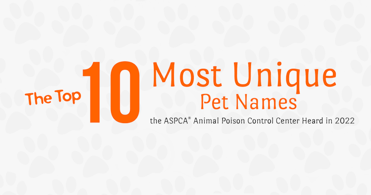 the-top-10-most-unique-pet-names-of-2022-aspca