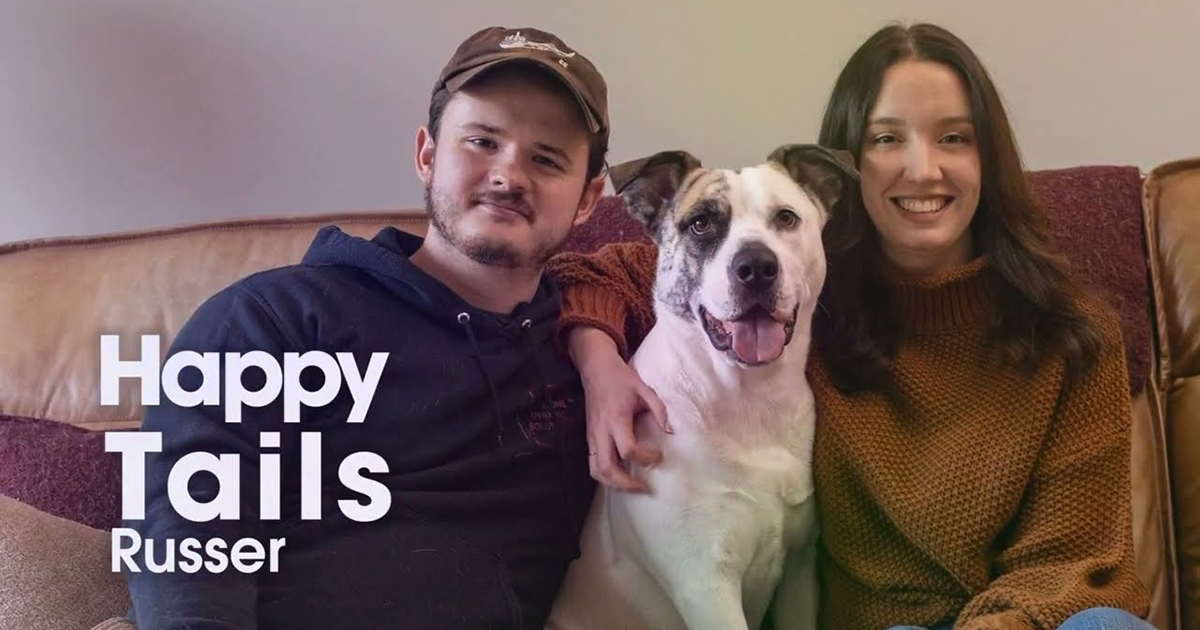 Russer Underdog Russer Helps Fill the Hole in One Couple’s Broken Hearts | ASPCA