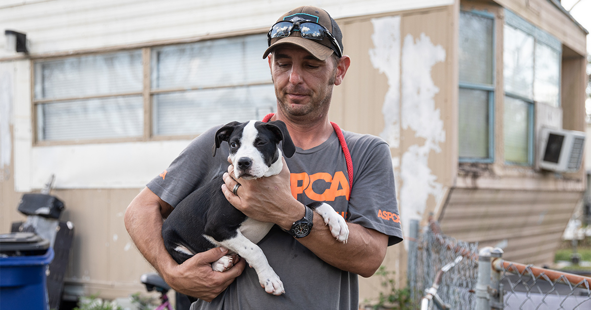 Hurricane Ian Response: ASPCA Assists Animals Impacted by Storm | ASPCA