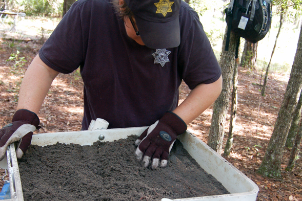 Animal CSI Workshop